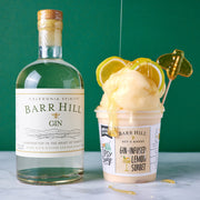 Barr Hill Bees Knees Sorbet 4-pack