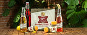 Tipsy Scoop x Miller High Life "Spaghett-sicle" Push-Up Pop - 6-pack